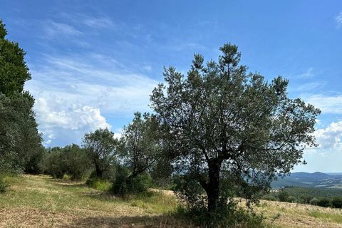 Farm hus i Roccastrada, Grosseto, Roccastrada - € 490.000 | Ref: a7631ta2582944a - foto 28