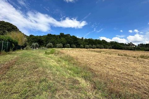 Farm hus i Roccastrada, Grosseto, Roccastrada - € 490.000 | Ref: a7631ta2582944a - foto 29