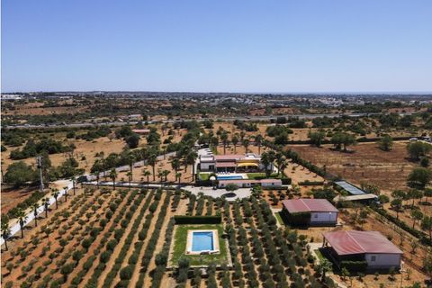 Farm i Guia, Faro, Guia - € 1.200.000 | Ref: AGMQUI-2705 - foto 5