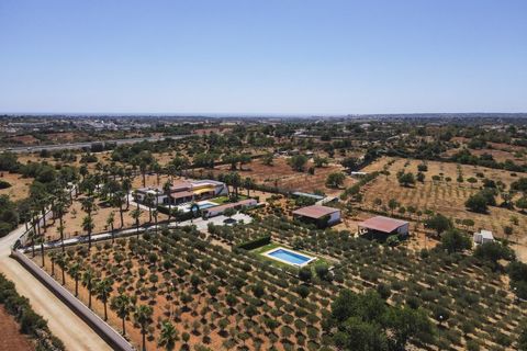 Farm i Guia, Faro, Guia - € 1.200.000 | Ref: AGMQUI-2705 - foto 6