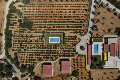 Farm i Guia, Faro, Guia - € 1.200.000 | Ref: AGMQUI-2705 - foto 8
