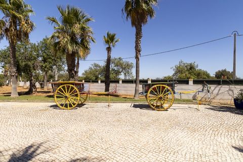 Farm i Guia, Faro, Guia - € 1.200.000 | Ref: AGMQUI-2705 - foto 12