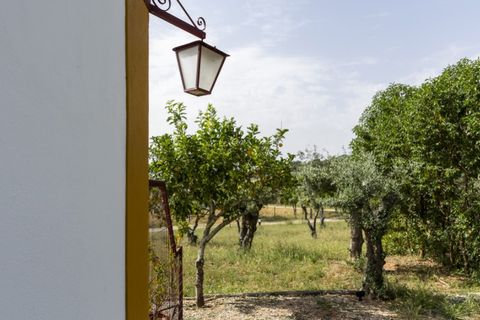 Farm i Alandroal, Evora, Alandroal - € 1.495.000 | Ref: ED023 - foto 28