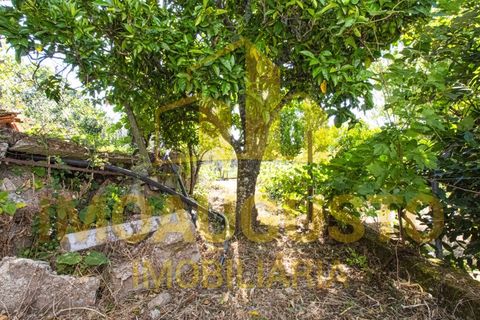 Villa i Celorico da Beira, Guarda, Celorico da Beira - € 105.000 | Ref: CAS_2487 - foto 29