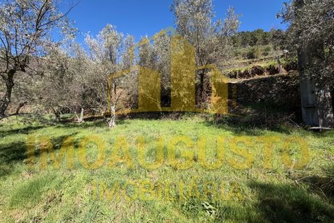 Helårsgrund i Celorico da Beira, Guarda, Celorico da Beira - € 19.900 | Ref: TER_2433 - foto 1