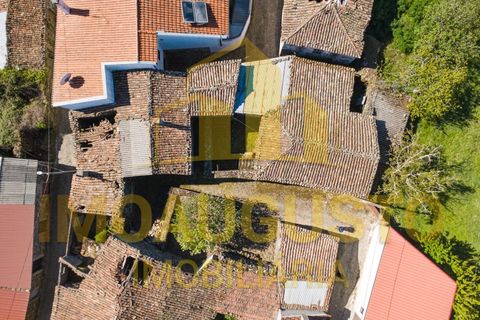 Villa em Tamanhos, Guarda, Tamanhos - € 34.500 | Ref: CAS_2331 - foto 21