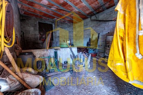 Villa i Pinhel, Guarda, Pinhel - € 45 999 | Ref: CAS_2009 - foto 15