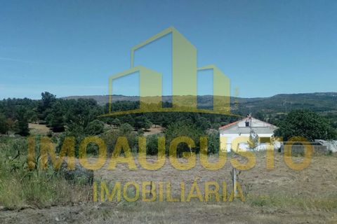 Farm i Celorico da Beira, Guarda, Celorico da Beira - € 280.000 | Ref: VIL_1789 - foto 1