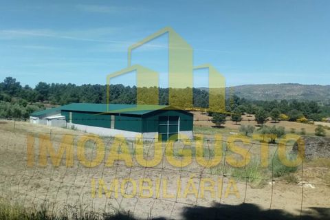 Farm i Celorico da Beira, Guarda, Celorico da Beira - € 280.000 | Ref: VIL_1789 - foto 2