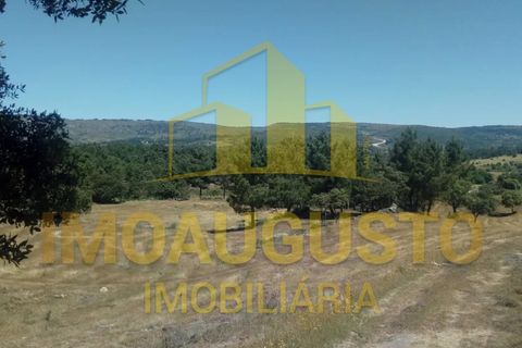 Farm i Celorico da Beira, Guarda, Celorico da Beira - € 280.000 | Ref: VIL_1789 - foto 5