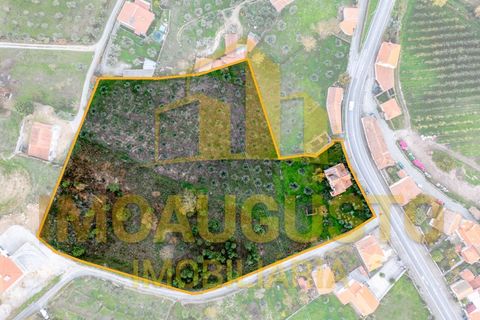 Villa i Cortico da Serra, Guarda, Cortico da Serra - € 150.000 | Ref: CAS_2153 - foto 18