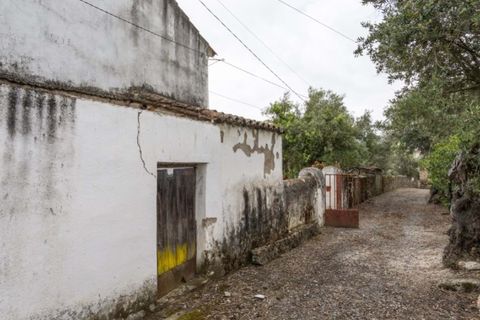 Villa i Portalegre, Portalegre, Portalegre - € 85.000 | Ref: SG007 - foto 2
