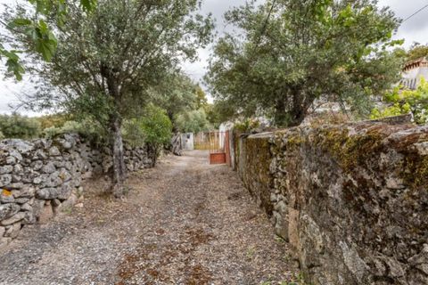 Villa i Portalegre, Portalegre, Portalegre - € 85.000 | Ref: SG007 - foto 4