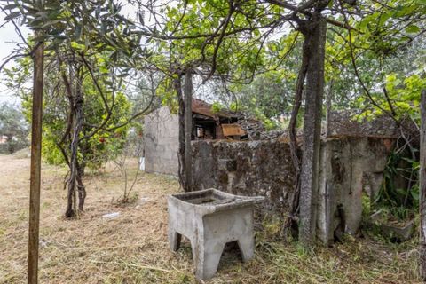 Villa i Portalegre, Portalegre, Portalegre - € 85.000 | Ref: SG007 - foto 12