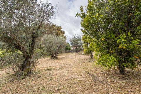 Villa i Portalegre, Portalegre, Portalegre - € 85.000 | Ref: SG007 - foto 14