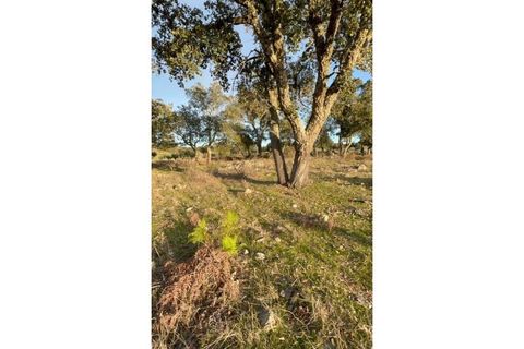 Farm hus i Fortios, Portalegre, Fortios - € 2.900.000 | Ref: AL006 - foto 4