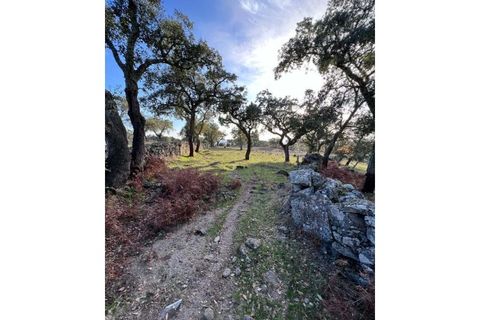 Farm hus i Fortios, Portalegre, Fortios - € 2.900.000 | Ref: AL006 - foto 8