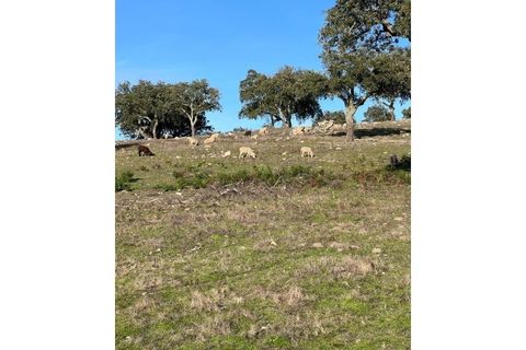 Farm hus i Fortios, Portalegre, Fortios - € 2.900.000 | Ref: AL006 - foto 10