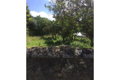 Farm hus i Fortios, Portalegre, Fortios - € 2.900.000 | Ref: AL006 - foto 14