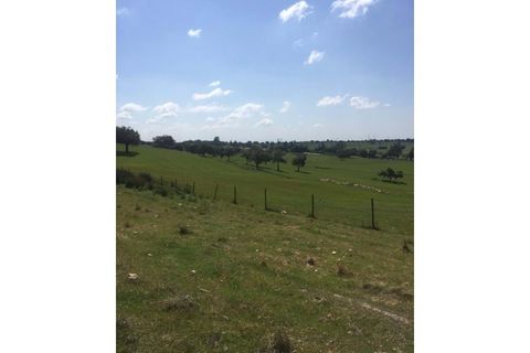Farm hus i Fortios, Portalegre, Fortios - € 2.900.000 | Ref: AL006 - foto 16