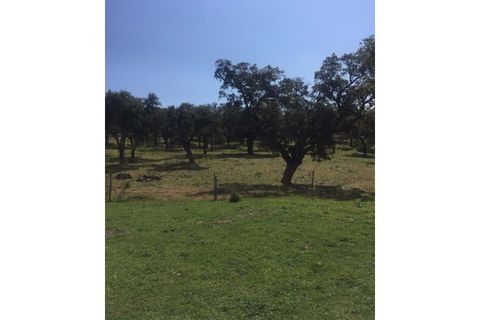 Farm hus i Fortios, Portalegre, Fortios - € 2.900.000 | Ref: AL006 - foto 18