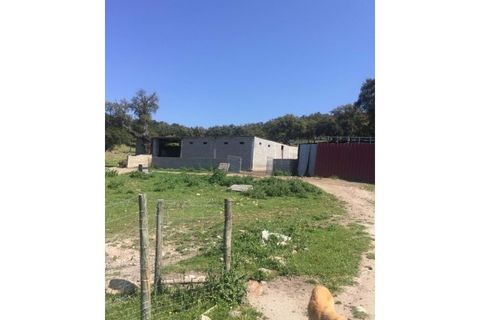 Farm hus i Fortios, Portalegre, Fortios - € 2.900.000 | Ref: AL006 - foto 19