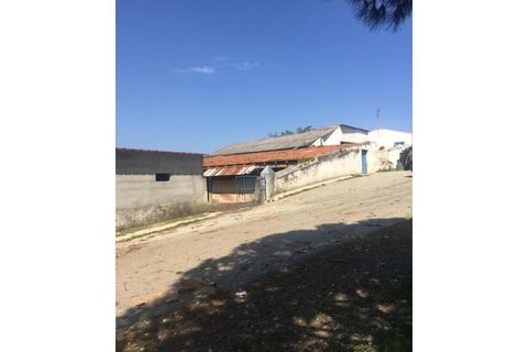 Farm hus i Fortios, Portalegre, Fortios - € 2.900.000 | Ref: AL006 - foto 22