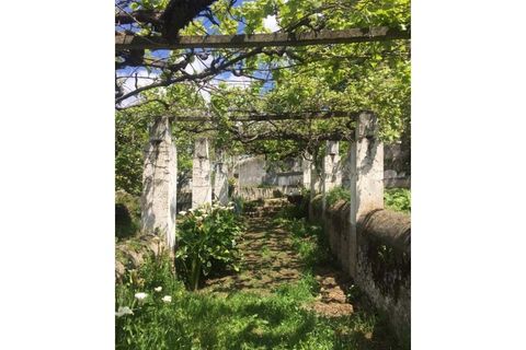 Farm hus i Fortios, Portalegre, Fortios - € 2.900.000 | Ref: AL006 - foto 23