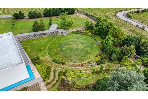 Erhvervsejendom i Maia, Porto, Maia - € 2.970.000 | Ref: 120781324-58 - foto 3