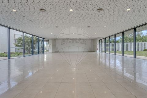 Erhvervsejendom i Maia, Porto, Maia - € 2.970.000 | Ref: 120781324-58 - foto 14