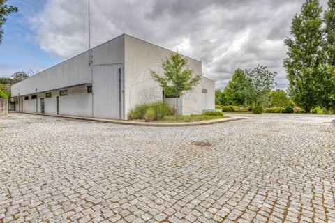 Erhvervsejendom i Maia, Porto, Maia - € 2.970.000 | Ref: 120781324-58 - foto 16