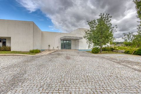 Erhvervsejendom i Maia, Porto, Maia - € 2.970.000 | Ref: 120781324-58 - foto 17