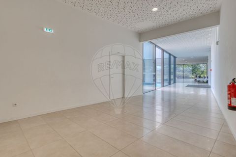Erhvervsejendom i Maia, Porto, Maia - € 2.970.000 | Ref: 120781324-58 - foto 18
