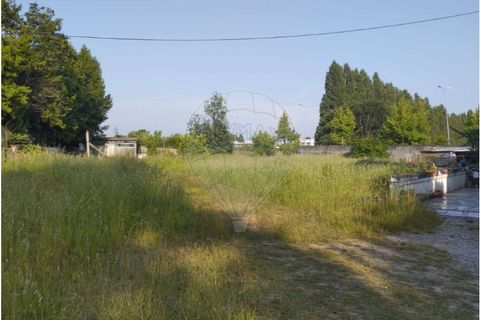 Helårsgrund i Maia, Porto, Maia - € 2.500.000 | Ref: 120781402-36 - foto 12
