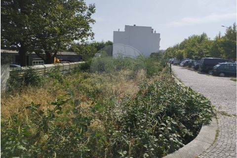Helårsgrund i Maia, Porto, Maia - € 2.500.000 | Ref: 120781402-36 - foto 13