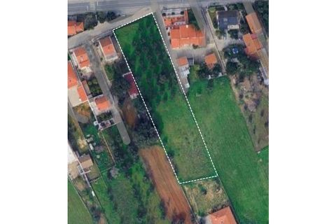 Helårsgrund i Quinta do Anjo, Setubal, Quinta do Anjo - € 320.000 | Ref: BA-0042 - foto 4