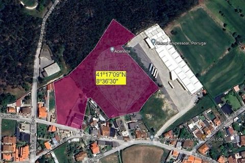 Helårsgrund i Maia, Porto, Maia - € 1.390.000 | Ref: 120781259-60 - foto 3
