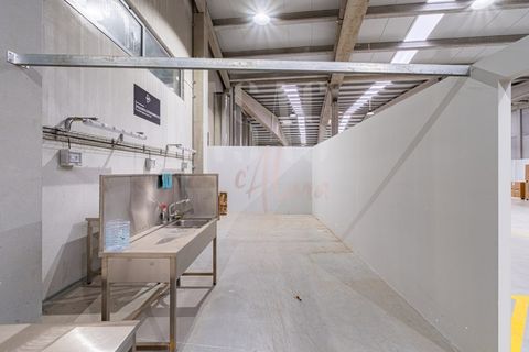 Erhvervsejendom i Paredes, Porto, Paredes - € 1.460.000 | Ref: MAG_59 - foto 10