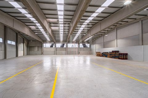 Erhvervsejendom i Paredes, Porto, Paredes - € 1.460.000 | Ref: MAG_59 - foto 14