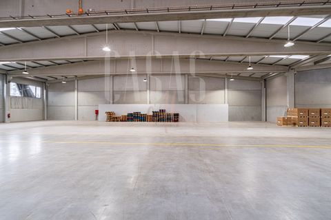 Erhvervsejendom i Paredes, Porto, Paredes - € 1.460.000 | Ref: MAG_59 - foto 15