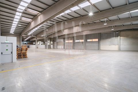 Erhvervsejendom i Paredes, Porto, Paredes - € 1.460.000 | Ref: MAG_59 - foto 18