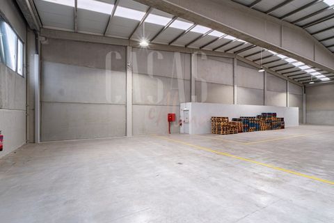 Erhvervsejendom i Paredes, Porto, Paredes - € 699.000 | Ref: MAG_58 - foto 14