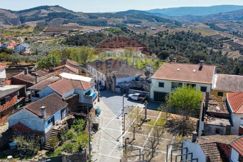Farm i Noura e Palheiros, Vila Real, Noura e Palheiros - € 799.000 | Ref: 120781590-47 - foto 3