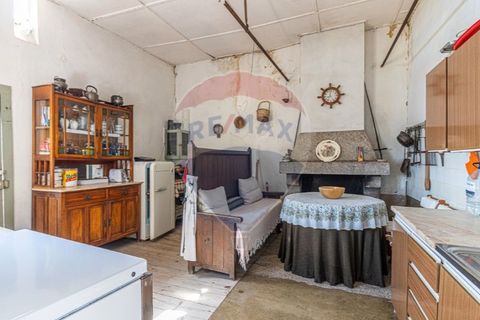 Farm i Noura e Palheiros, Vila Real, Noura e Palheiros - € 799.000 | Ref: 120781590-47 - foto 6