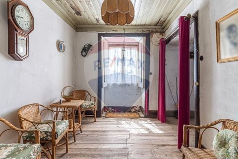Farm i Noura e Palheiros, Vila Real, Noura e Palheiros - € 799.000 | Ref: 120781590-47 - foto 7