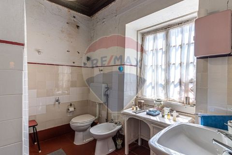 Farm i Noura e Palheiros, Vila Real, Noura e Palheiros - € 799.000 | Ref: 120781590-47 - foto 12