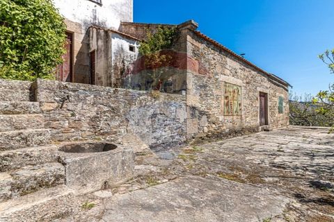 Farm i Noura e Palheiros, Vila Real, Noura e Palheiros - € 799.000 | Ref: 120781590-47 - foto 22