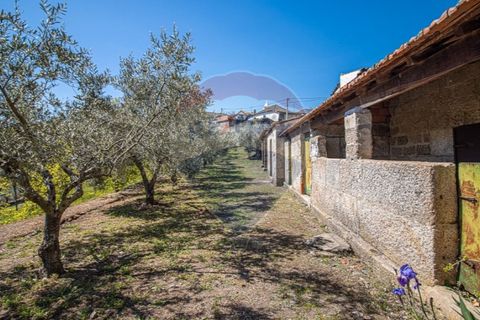 Farm i Noura e Palheiros, Vila Real, Noura e Palheiros - € 799.000 | Ref: 120781590-47 - foto 25