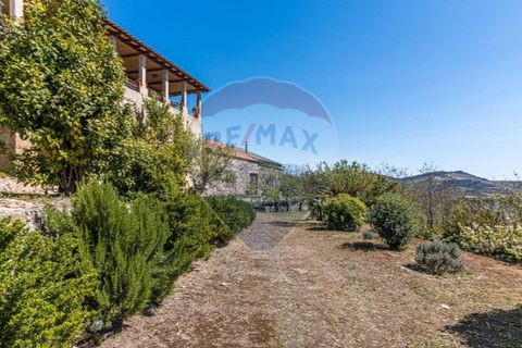 Farm i Noura e Palheiros, Vila Real, Noura e Palheiros - € 799.000 | Ref: 120781590-47 - foto 26
