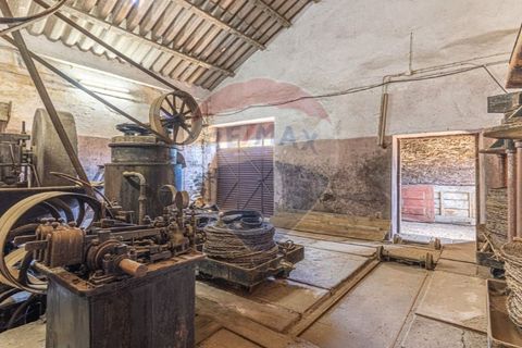 Farm i Noura e Palheiros, Vila Real, Noura e Palheiros - € 799.000 | Ref: 120781590-47 - foto 28